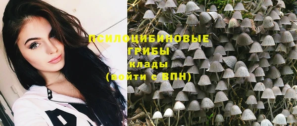 твердый Абаза