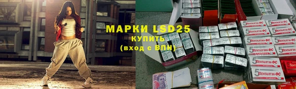 твердый Абаза