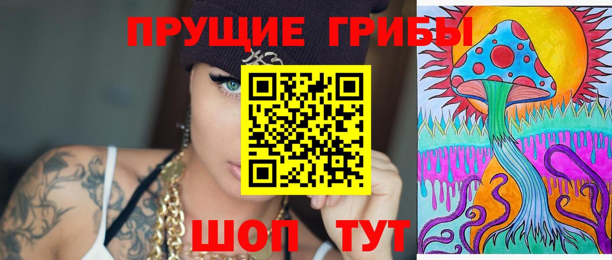 Псилоцибиновые грибы Psilocybe Саранск