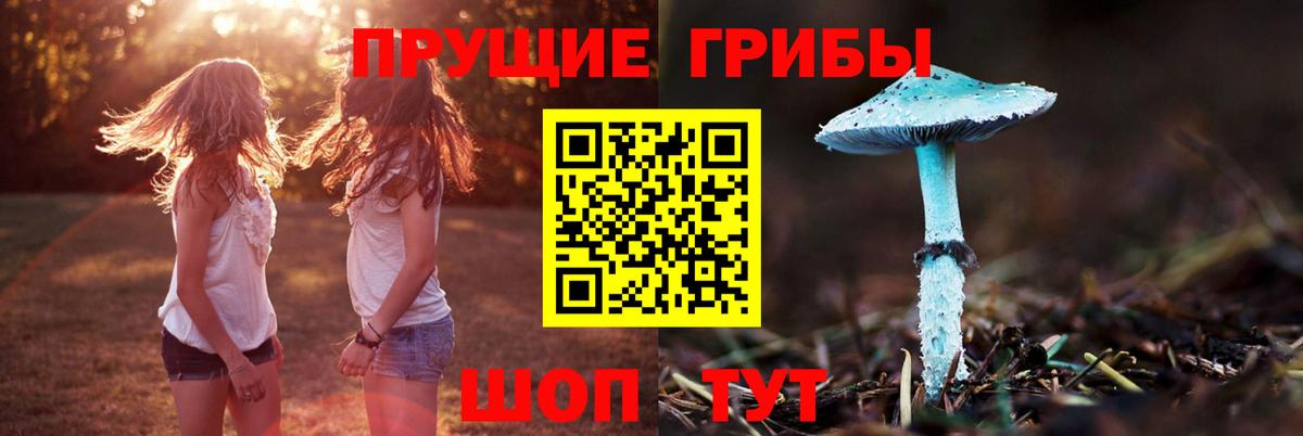 Саранск  Псилоцибиновые грибы мухоморы  Вход с VPN 